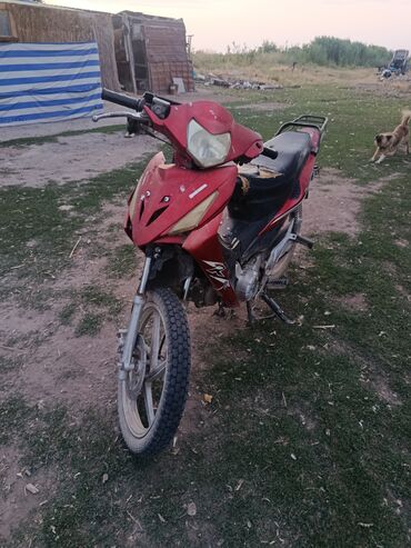 купить шины 205 70 r15 с: Скутер Honda, 110 куб. см, Бензин, Колдонулган