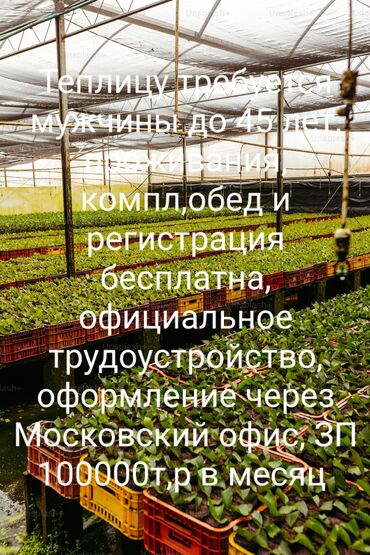 работа на дом ош: Башка адистиктер