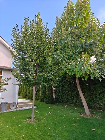 аренда дом в бишкек: 🏡 Продажа коттеджа в ЦО «Фонтан», с. Кара-Ой Предлагается к продаже — 2
