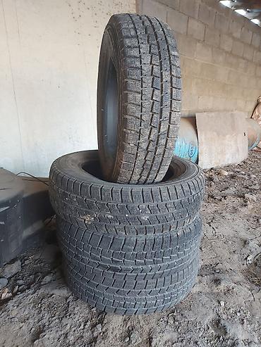 r13 175: Шины 175 / 65 / R 15, Зима, Б/у, Комплект, Легковые, Япония, Dunlop — 4