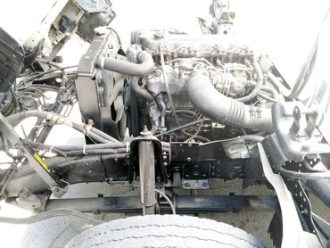 Yük maşınları: Isuzu NPR 66 L, 2008 il, motor 4.3 l, Soyuducu — 6