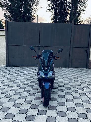Скутеры: 🔥 SAMURAI BENALI 180 КУБОВ 🔥 Продаю свой Samurai Benali 180cc в — 19