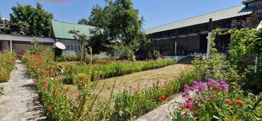 Torpaq sahələrinin satışı: 12 sot, Tikinti, Makler, Kupça (Çıxarış) — 10