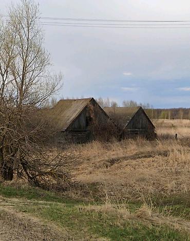 Продажа коттеджей и домов: Продаётся дом 150 м² + 50 соток земли 📍 Россия, Рязанская область — 3