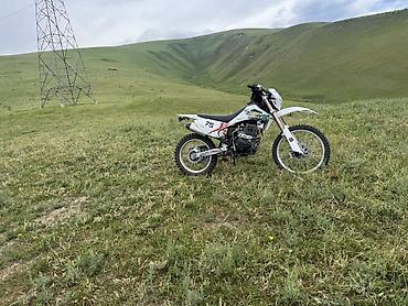 мото бокс: Эндуро Zongshen, 250 куб. см, Бензин, Взрослый, Б/у — 1