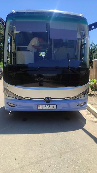 Автобусы и маршрутки: Автобус — 10