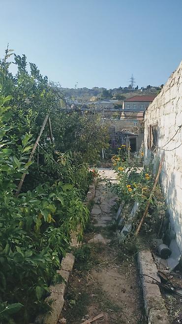 zigda torpaq: 4 sot, Tikinti, Mülkiyyətçi, Kupça (Çıxarış) — 4