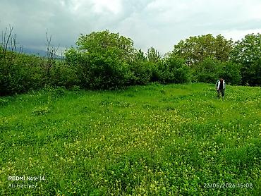 Torpaq sahələrinin satışı: 8 sot, Tikinti, Makler, Kupça (Çıxarış) -da lalafo.az — 14 Torpaq sahələrinin satışı: 8 sot, Tikinti, Makler, Kupça (Çıxarış) — 14