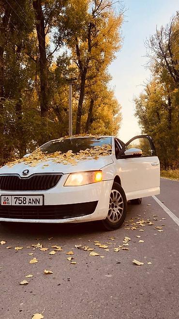 Skoda Octavia: 2015 г., 1.6 л, Кол менен иштөөчү, Бензин, Седан — 3