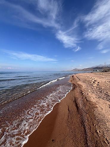иссык куль участок: 100 соток — 1