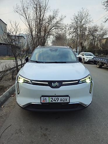 Другие автомобили: Электромобиль кроссовер (7 мест, судя по габаритам) в белом цвете — 1