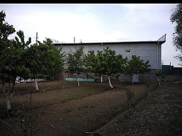 продаю дом дордой 1: Здание, 192 м² — 5