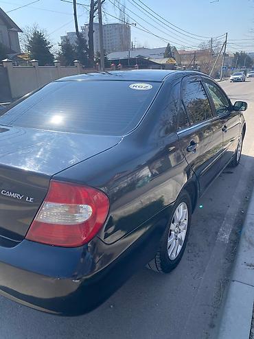 harrier 2003: Toyota Camry: 2003 г., 2.4 л, Автомат, Бензин, Седан — 6