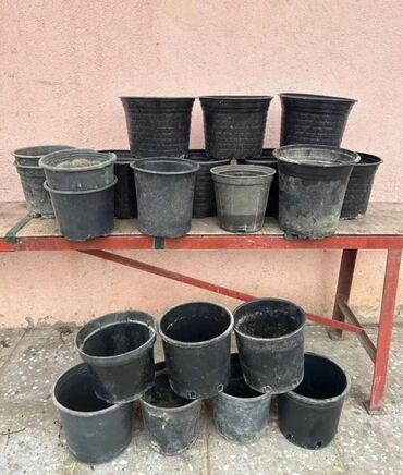 Bitkilər üçün dibçəklər: Plastik,kauçuk gül və dibçək qabları satılır. Cəmisi 60 — 4