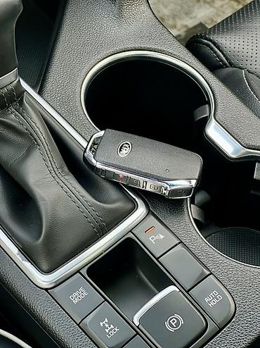 Kia: Kia Sportage: 2022 г., 2 л, Автомат, Бензин, Кроссовер — 12