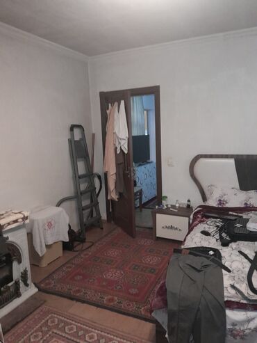 Çöl bitkiləri: Zabrat 2 stansiyasına yaxındir. sənəd kupça avtobus dayanacağına — 6