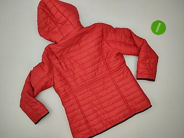 adriano damiani: Andrea, Kurtka przejściowa damska, rozmiar 3XL — 3