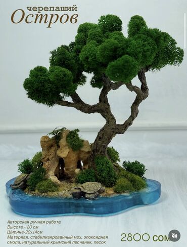 Декоративные цветы: В переводе с японского Бонсай означает «дерево, выращенное в блюде» at lalafo.kg — 50 Декоративные цветы: В переводе с японского Бонсай означает «дерево, выращенное в блюде» — 50