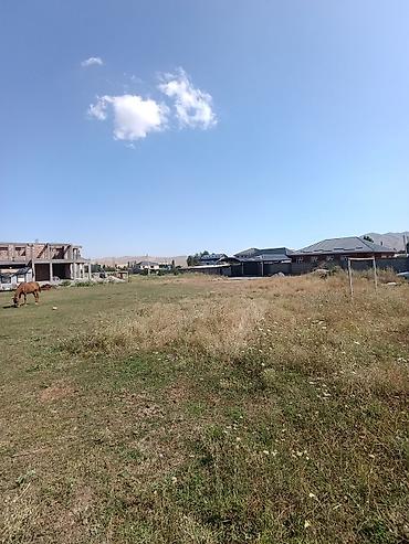 арча бешик 1: 10 соток, Курулуш, Кызыл китеп, Сатып алуу-сатуу келишими — 1