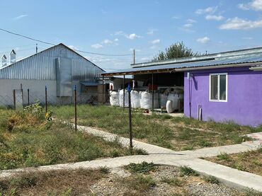 Torpaq sahələrinin satışı: Kənd təsərrüfatı, Mülkiyyətçi, Bələdiyyə, Kupça (Çıxarış) — 4