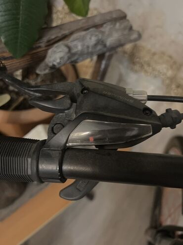 İdman velosipedləri: Dağ velosipedi Strim, 29" — 7