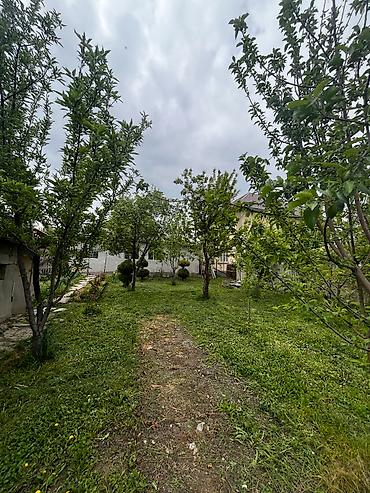 Продажа коттеджей и домов: Продается дом в селе Джал 150метров до главной трассы Участок 6 — 8