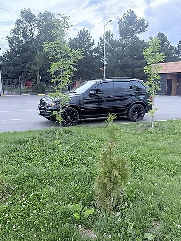 bwm e60: BMW X5: 2005 г., 4.4 л, Автомат, Бензин, Кроссовер — 4