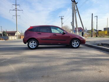 Ford: Ford Focus: 2001 г., 1.6 л, Механика, Бензин, Хэтчбэк