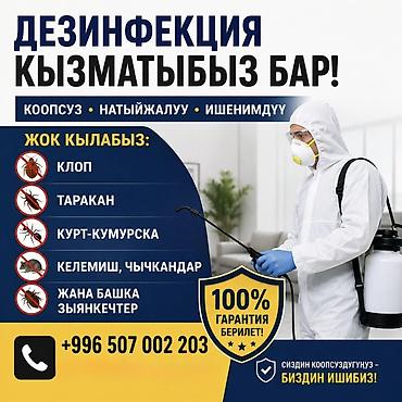 делаем очок: Профессиональная дезинсекция и дератизация помещений. Что делаем: - — 1