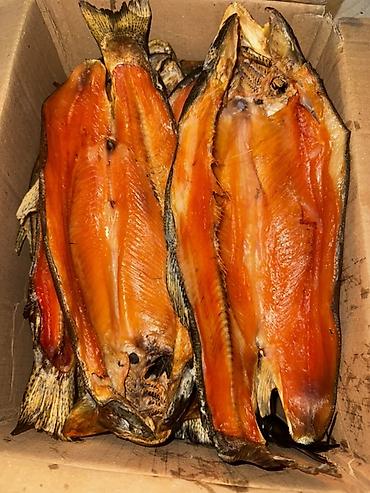 кыргыз сиги: 🐟 КОПЧЁНАЯ ФОРЕЛЬ ОПТОМ — 1100 СОМ/КГ Натуральное копчение 🔥 Без — 1