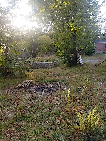 imislidə ev satilir: 410 sot, Tikinti, Mülkiyyətçi, Kupça (Çıxarış) — 2