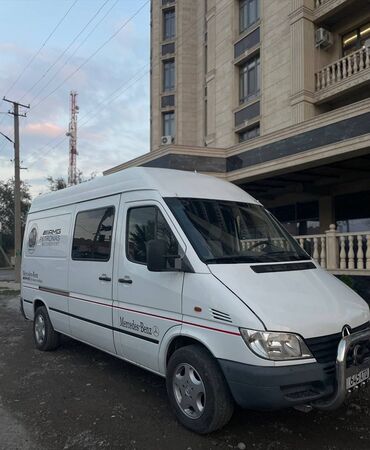подножки пороги: Mercedes-Benz Спринтер: 2004 г., 2.9 л, Механика, Дизель