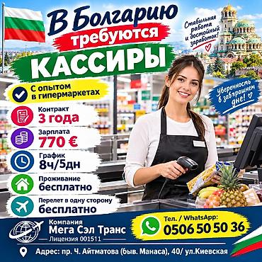 работа водитель с: Вакансии в Болгарию Открыты позиции: - Продавец/кассир — 770 € - — 2