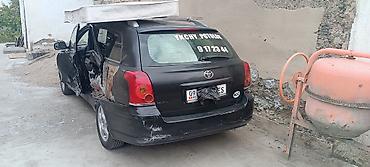 рекс rex: Toyota Avensis универсал (T25), черный цвет. - Кузов: 5-дверный — 1