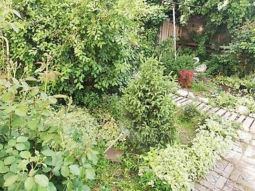 Продажа коттеджей и домов: Дом. 3 уровня. район Турусбекова/Ж.Жолу (Кудрука). 4,7 красная книга — 16