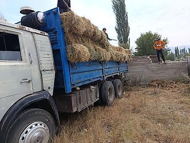 авто грузовые: КАМАЗ 5511 самосвал, 6x4 сатылат 350 мин сурап атам мотор жасаш керек — 6