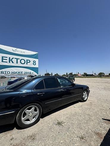 морда 210: Mercedes-Benz E-Class: 2001 г., 2.7 л, Автомат, Дизель, Седан — 7