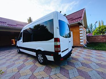 daf даф: Транспортные перевозки по всему региону — 7
