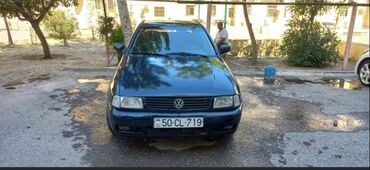 Volkswagen: Volkswagen Polo: 1.6 | 1998 il Sedan