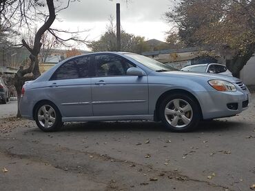 Kia: Kia Cerato: 2 l | 2006 il Sedan — 7