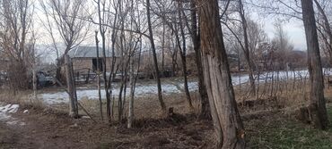 Продажа участков: 8 соток, Для сельского хозяйства, Красная книга — 6
