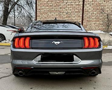 Ford: Ford Mustang: 2022 г., 2.3 л, Автомат, Бензин, Купе — 2