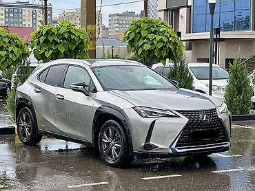lexus ux250h: Lexus UX: 2019 г., 2 л, Вариатор, Гибрид, Внедорожник — 2
