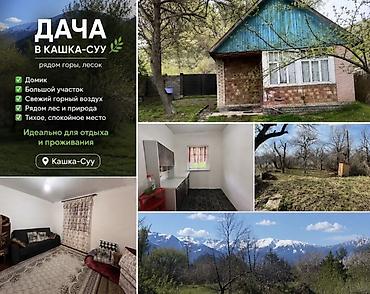 пр чуй: Продаётся земельный участок с садом и небольшим домиком/дачей в с — 9