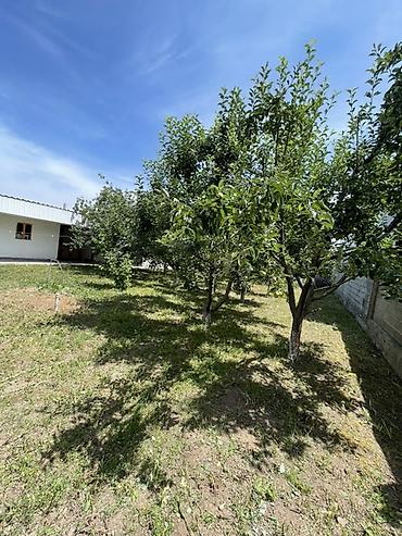 Продажа участков: 8 соток — 5