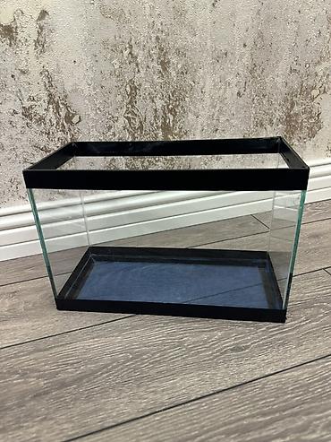 Akvariumlar: Dördbucaq akvarium, Boş, 6 l, Ünvandan götürmə — 2