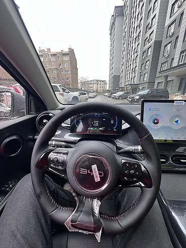 BYD: BYD E2: 2025 г., Электромобиль — 12