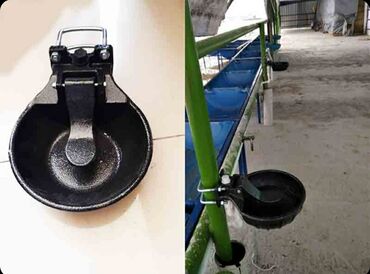 Qidalandırıcılar: Yem qabı, Su üçün, Heyvanlar üçün, Rayonlara çatdırılma, Ödənişli çatdırılma, Ünvandan götürmə — 11