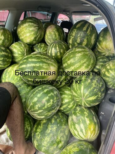 Овощи: Семена и саженцы Картофеля, Помидоров, Огурцов, Бесплатная доставка
