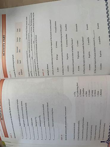 mekteb çanta: Məhsul: İngilis dilində “Biology” mövzularını əhatə edən tədris — 3